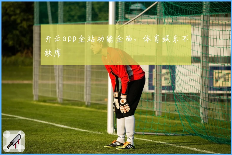 开云app全站功能全面,体育娱乐不缺席