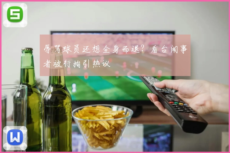 辱骂球员还想全身而退？看台闹事者被行拘引热议