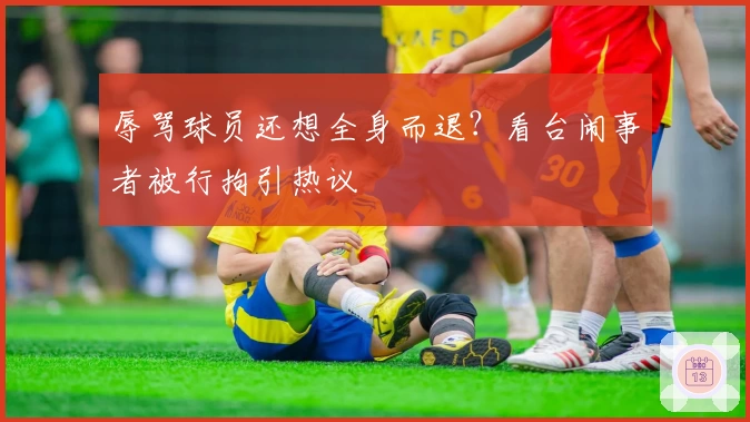 辱骂球员还想全身而退？看台闹事者被行拘引热议